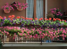 陽臺(tái)應(yīng)如何建造規(guī)劃才對(duì)陽臺(tái)綠化有利？