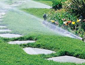 公園智慧管養系統應用