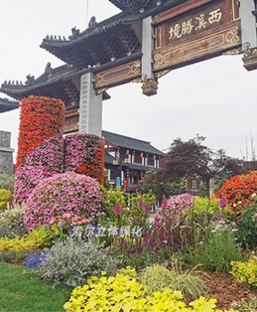 景區(qū)景觀(guān)綠化提升