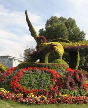 廣場(chǎng)景觀(guān)綠化提升