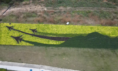 飛行小鎮(zhèn)主題元素