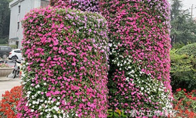 國(guó)慶廣場(chǎng)景觀提升