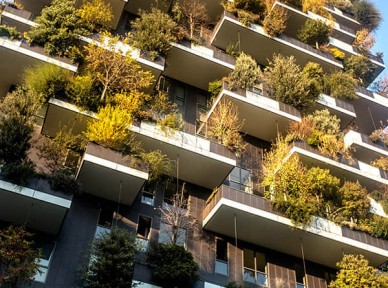 小區立體綠化解決方案