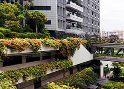 醫(yī)院立體綠化解決方案