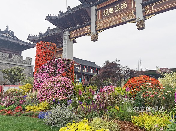 東臺西溪古鎮景區五一景觀提升