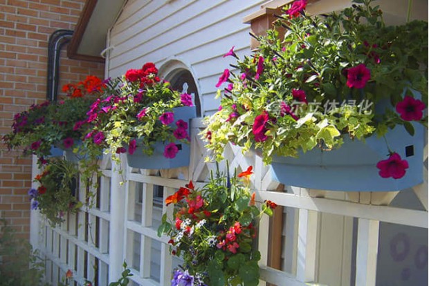 廣場公園景點(diǎn)景觀提升