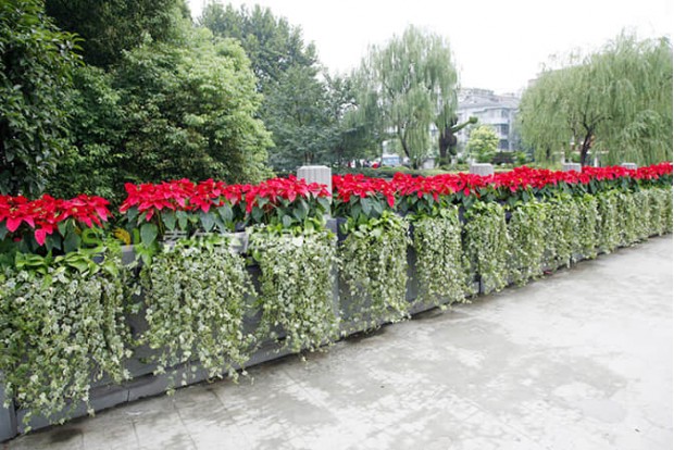 市政道路景觀提升