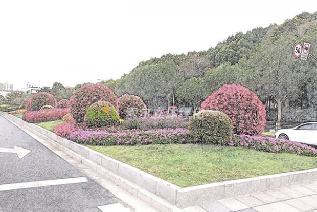 花球景觀設計效果圖