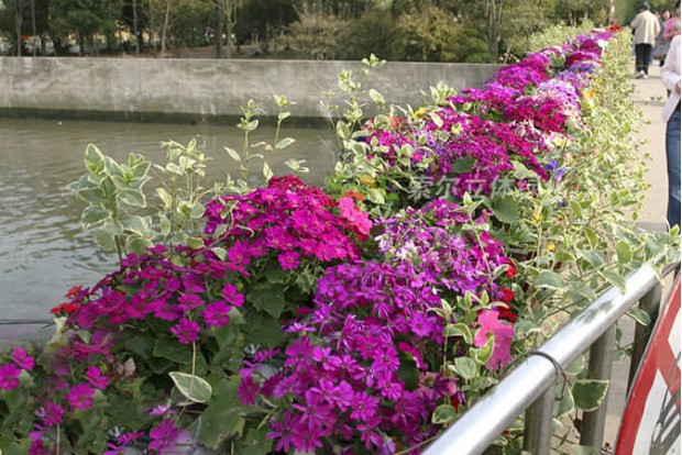 廣場公園景點(diǎn)景觀提升