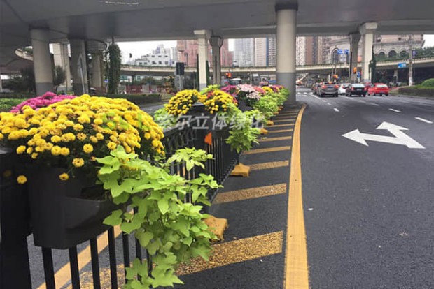 護欄綠化景觀設計實際效果圖