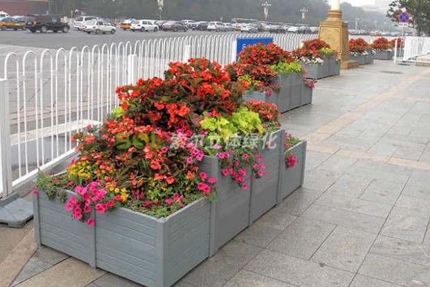 組合造景景觀設計實際效果圖