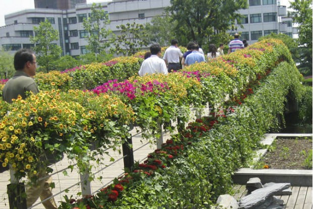 廣場公園景點(diǎn)景觀提升