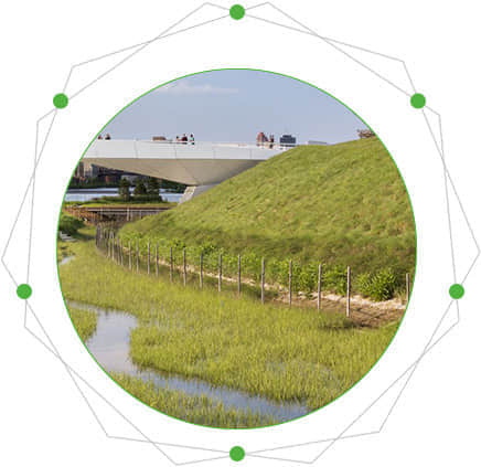 河堤綠化的特點