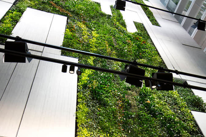 商業綜合體景觀提升室內植物墻