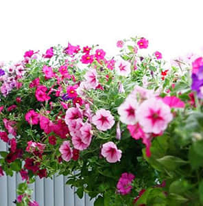 陽臺護欄雙面掛式美化