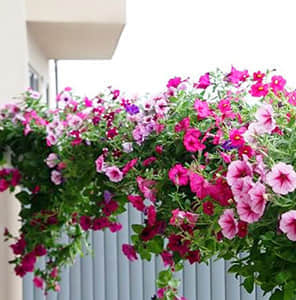 陽臺護欄雙面掛式美化