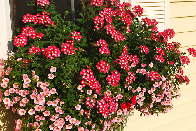 居住空間景觀提升高端公寓窗臺美化