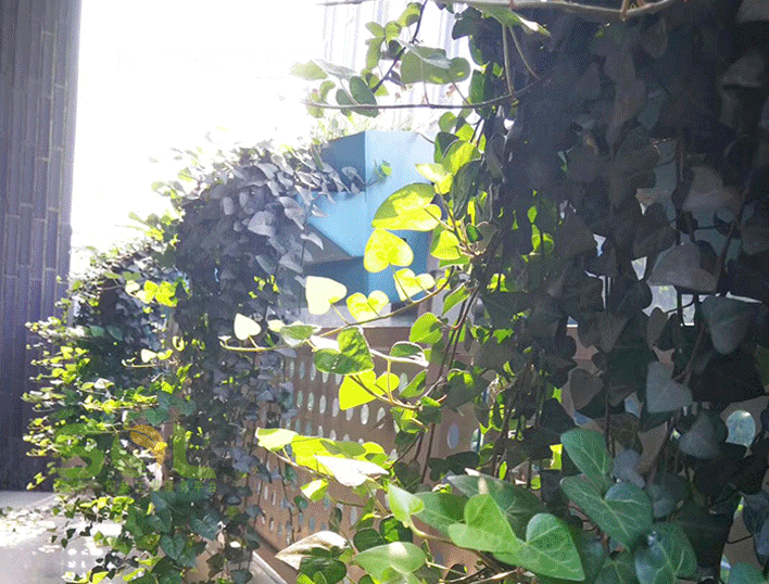 陽臺花園的安裝流程