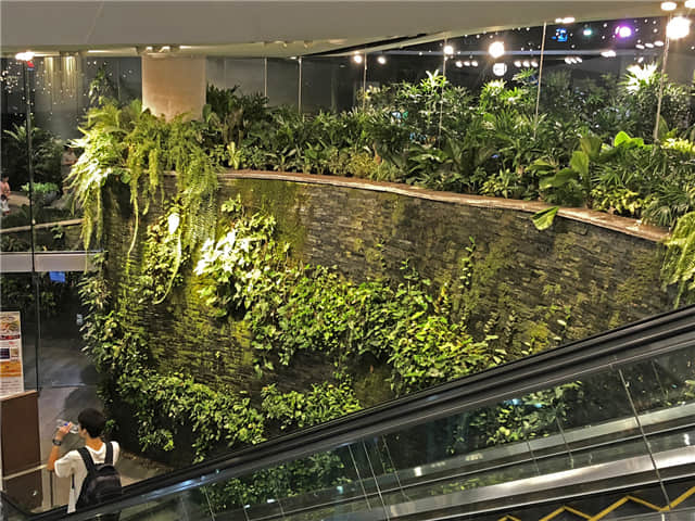 泰國曼谷EmQuartier商場 (36).jpg