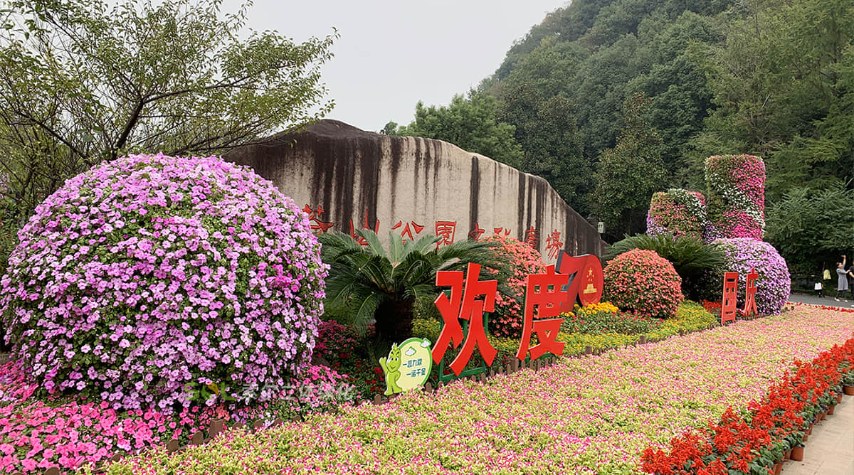 國(guó)慶杭州余杭廣場(chǎng)景觀提升