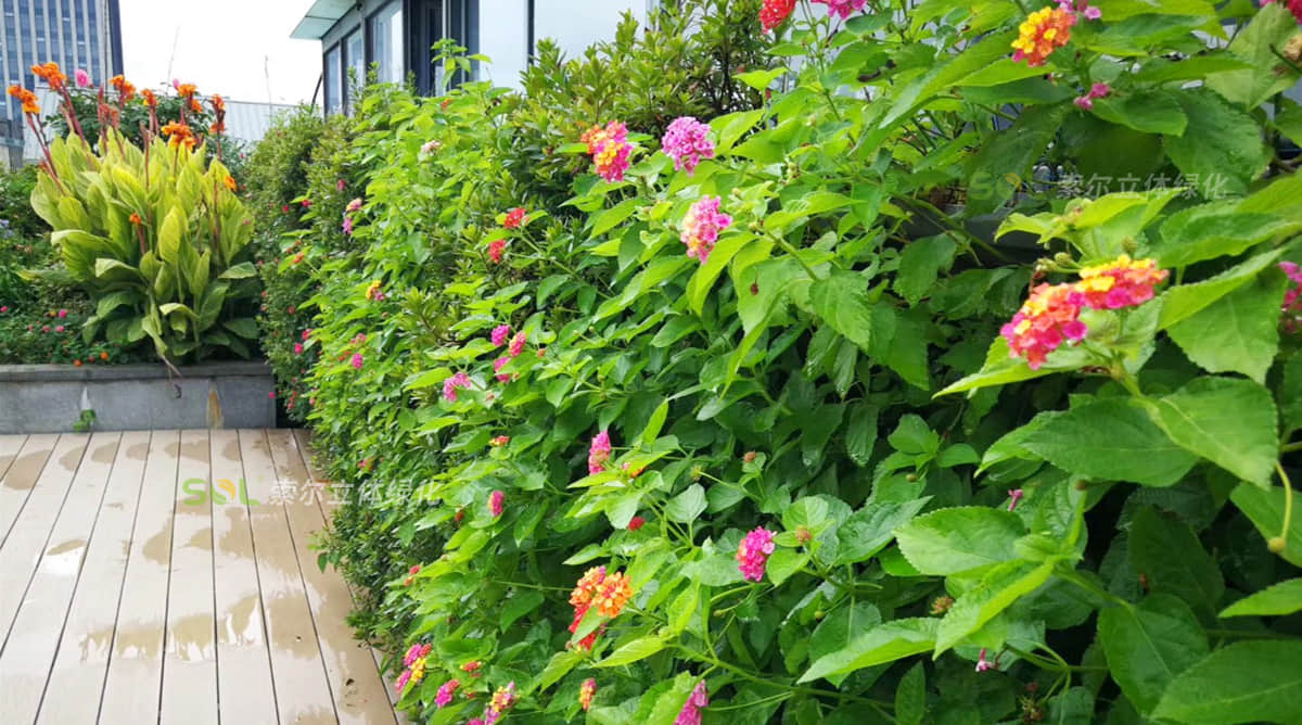 索爾大樓屋頂花園