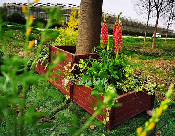 行道樹綠化解決方案簡介2