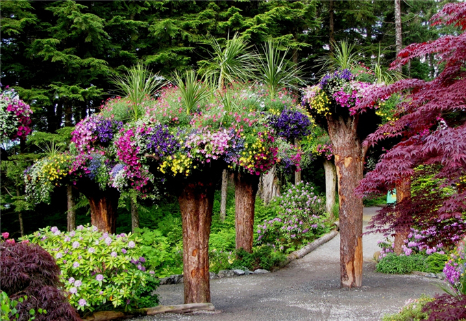 29庭院小景樹木 (12).jpg