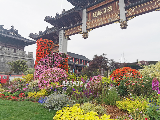 17移動(dòng)花園-2020年4月28日江蘇東臺(tái)西溪古鎮(zhèn)五一景觀提升 (1)泰山路花境.jpg