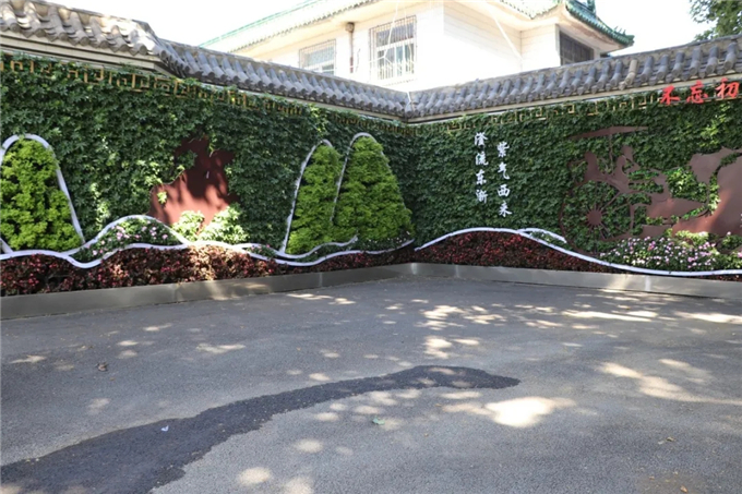 邯鄲首個“墻上花園”亮相，不但好看，還能降噪、除塵！ (5).jpg