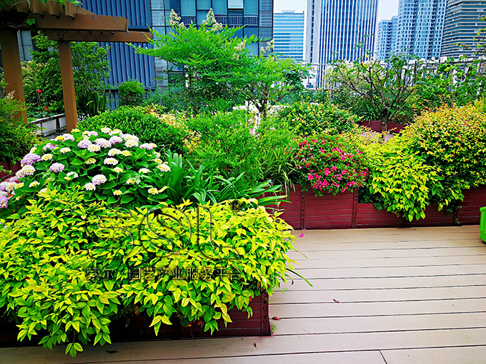 17索爾屋頂花園 (6).jpg