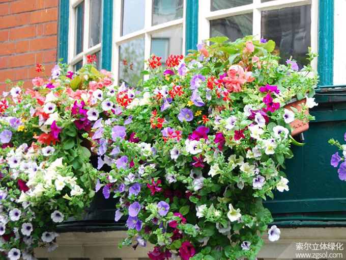 39國外窗臺美化素材 (2).jpg