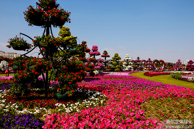 26迪拜奇跡花海 (1).jpg