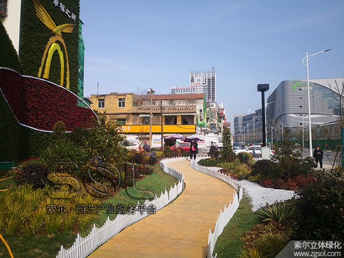 11 2021年1月安徽宿州立體綠化項目 (8).jpg