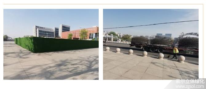 22山東青島膠州市民文化中心五一立體花壇“幸福花開(kāi)” (45).jpg