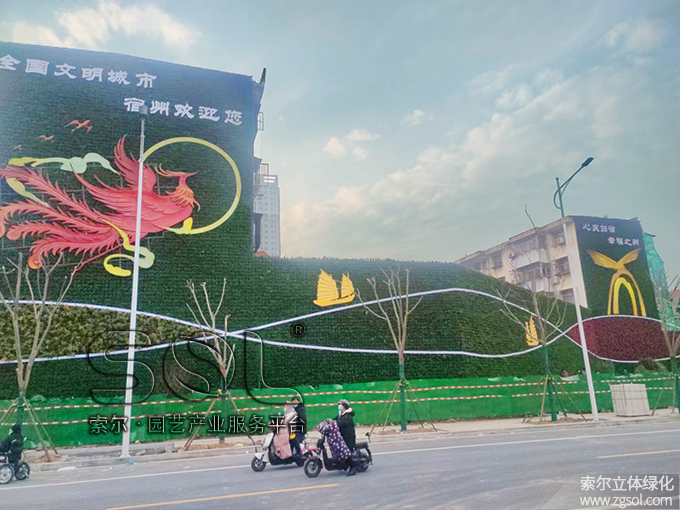 14  2021年1月安徽宿州立體綠化項目 (13).jpg