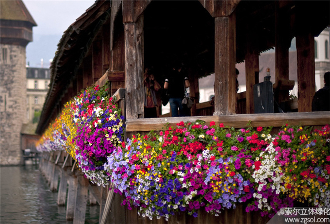 01瑞士盧塞恩小鎮(zhèn)護(hù)欄綠化 (12).jpg