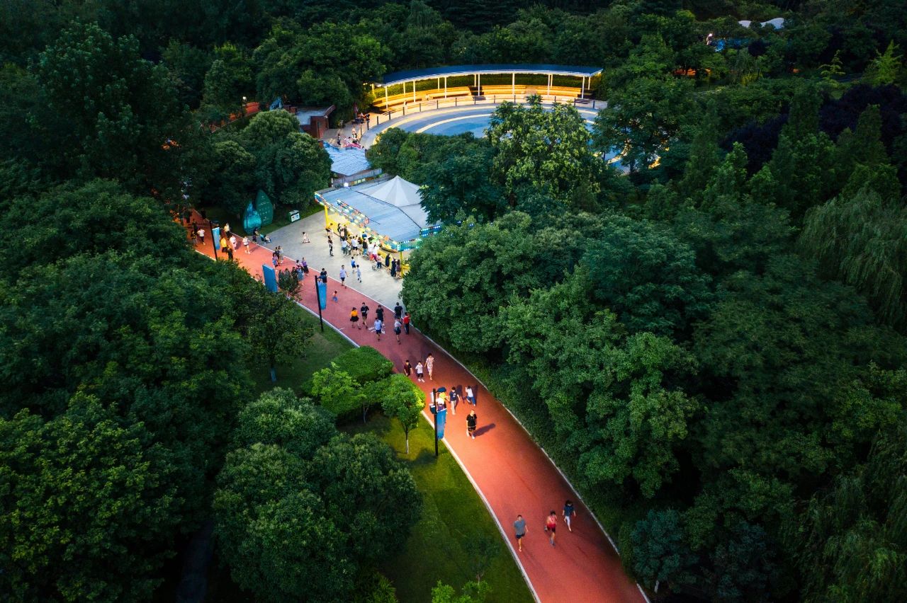 綠色生態中的運動空間 | 運動公園立體綠化智慧解決方案